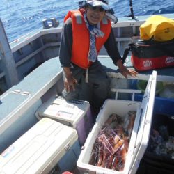 大進丸(愛知) 釣果