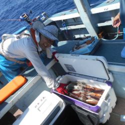 大進丸(愛知) 釣果