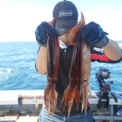 大進丸（愛知） 釣果