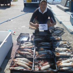 大進丸（愛知） 釣果