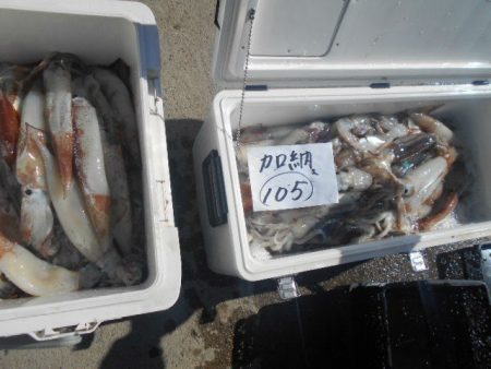 大進丸（愛知） 釣果