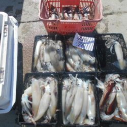 大進丸（愛知） 釣果