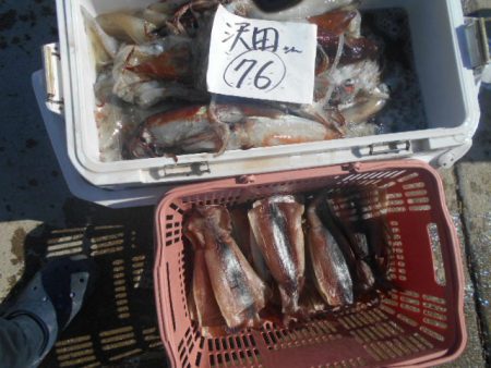 大進丸（愛知） 釣果