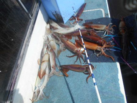 大進丸(愛知) 釣果