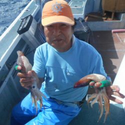 大進丸(愛知) 釣果