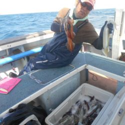 大進丸(愛知) 釣果