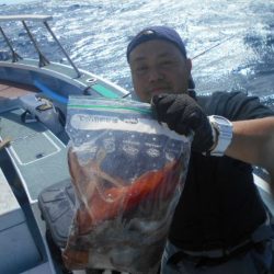 大進丸(愛知) 釣果