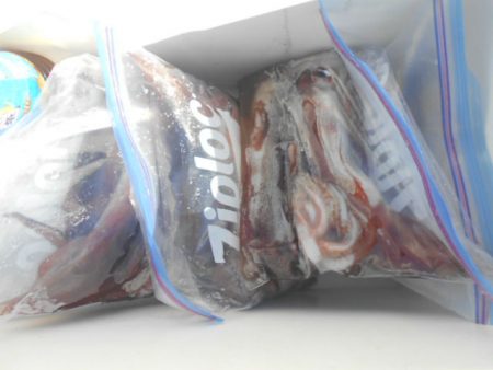 大進丸(愛知) 釣果