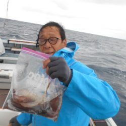 大進丸（愛知） 釣果