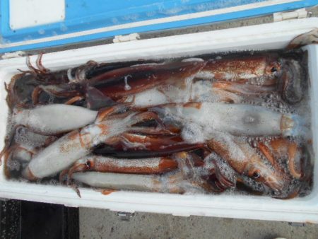 大進丸（愛知） 釣果