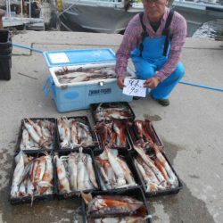 大進丸（愛知） 釣果