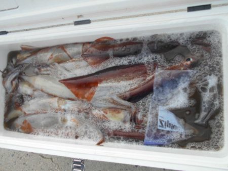 大進丸（愛知） 釣果