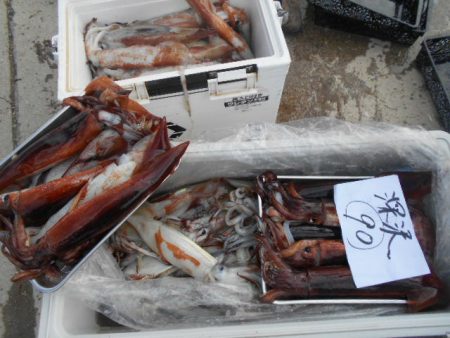 大進丸（愛知） 釣果