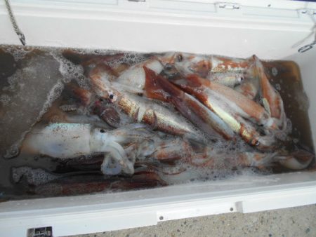 大進丸（愛知） 釣果