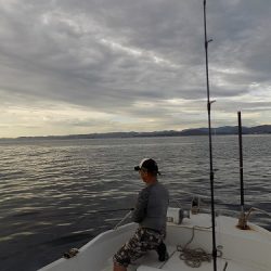 フィッシングボート空風（そらかぜ） 釣果