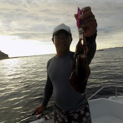 フィッシングボート空風（そらかぜ） 釣果