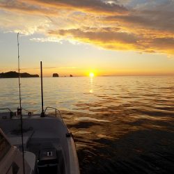 フィッシングボート空風（そらかぜ） 釣果