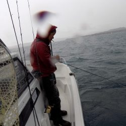 フィッシングボート空風(そらかぜ) 釣果