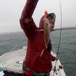 フィッシングボート空風(そらかぜ) 釣果