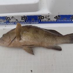 フィッシングボート空風（そらかぜ） 釣果