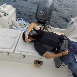 フィッシングボート空風(そらかぜ) 釣果