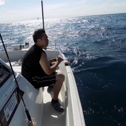 フィッシングボート空風(そらかぜ) 釣果