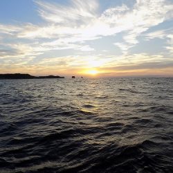 フィッシングボート空風(そらかぜ) 釣果