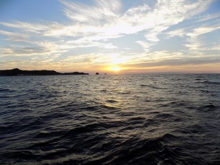 フィッシングボート空風(そらかぜ) 釣果