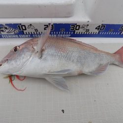 フィッシングボート空風(そらかぜ) 釣果