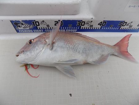 フィッシングボート空風(そらかぜ) 釣果