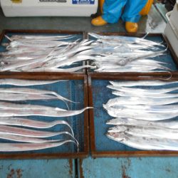 大進丸（愛知） 釣果