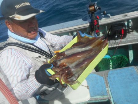 大進丸(愛知) 釣果