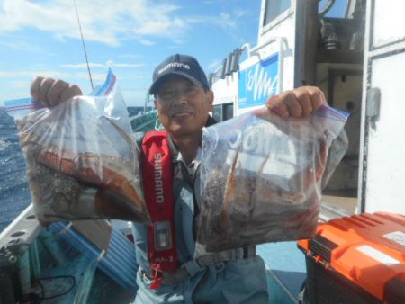 大進丸(愛知) 釣果