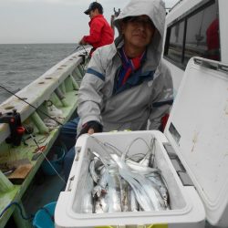 大進丸（愛知） 釣果