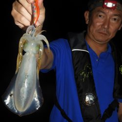 Fisherman Dreams DI 釣果