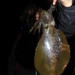 Fisherman Dreams DI 釣果