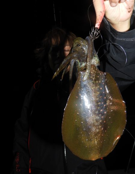 Fisherman Dreams DI 釣果