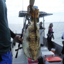 Fisherman Dreams DI 釣果