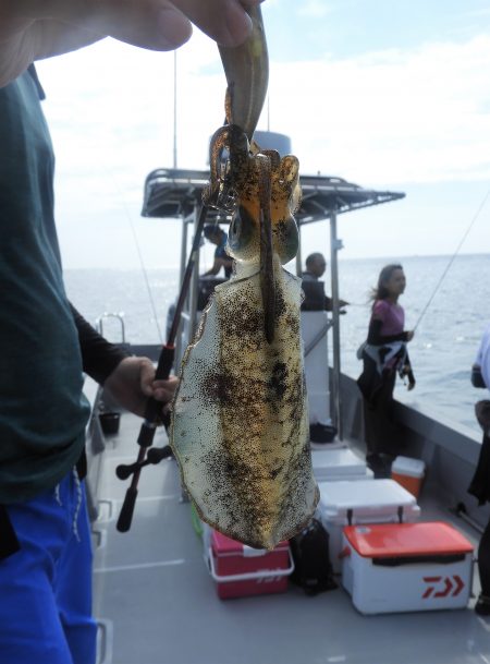 Fisherman Dreams DI 釣果