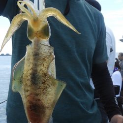 Fisherman Dreams DI 釣果