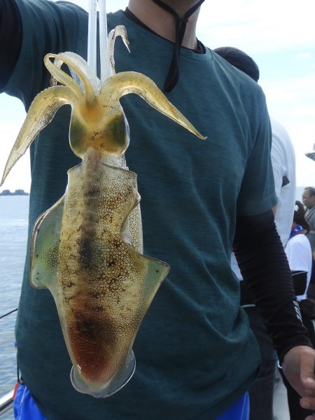 Fisherman Dreams DI 釣果