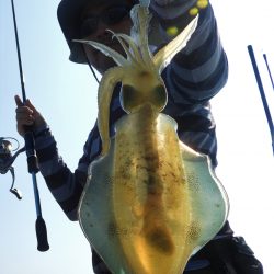 Fisherman Dreams DI 釣果