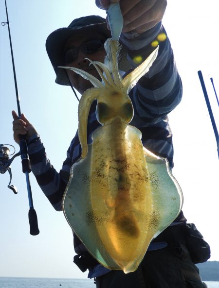 Fisherman Dreams DI 釣果