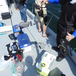 Fisherman Dreams DI 釣果