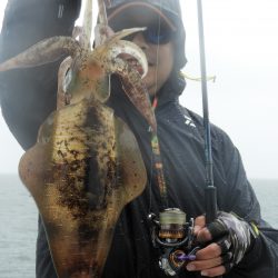 Fisherman Dreams DI 釣果