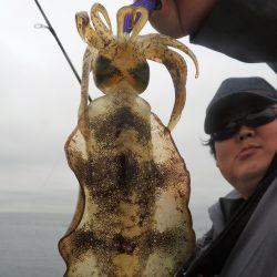 Fisherman Dreams DI 釣果