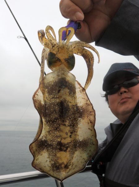 Fisherman Dreams DI 釣…