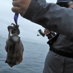 Fisherman Dreams DI 釣果