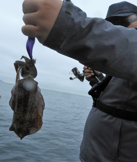 Fisherman Dreams DI 釣果