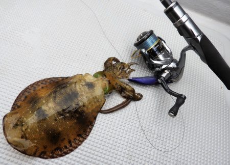 Fisherman Dreams DI 釣果